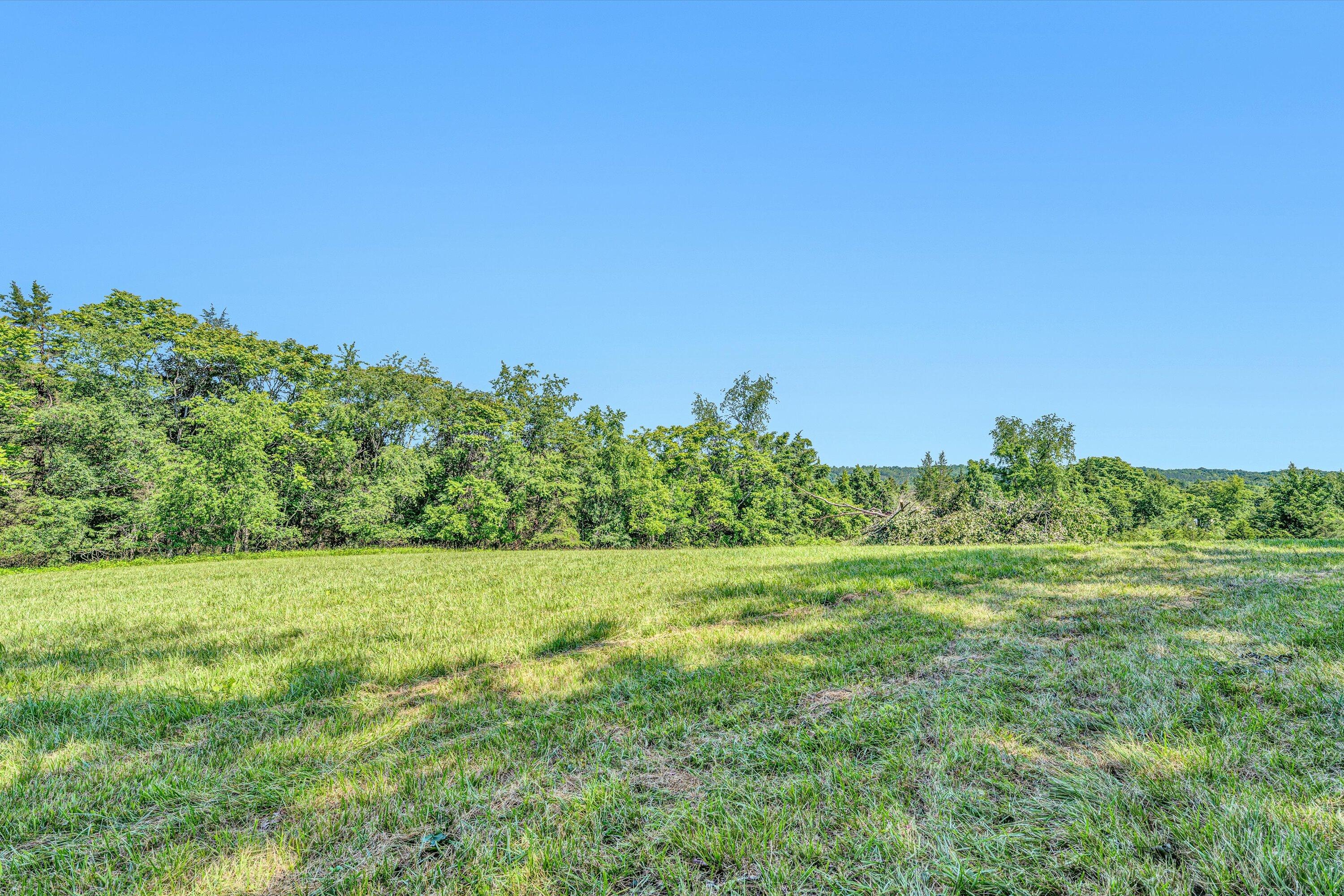 395 Middle Valley Road Hardy, VA 24101 - Photo 57 of 66 a view of a field with a tree in the background