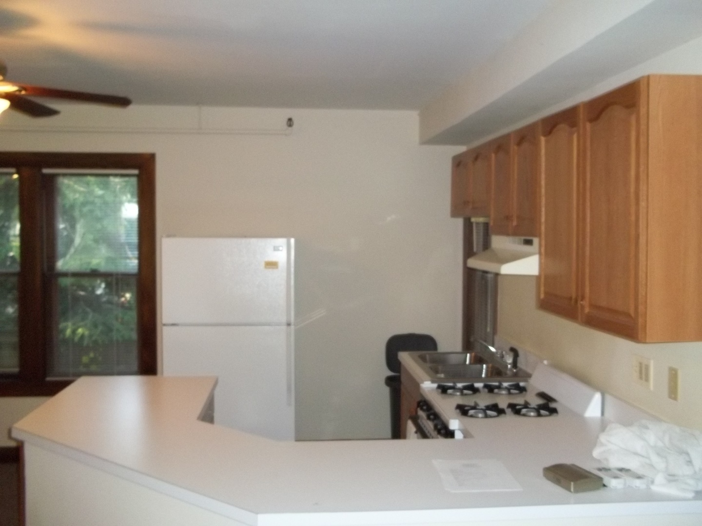 305 Oregon Avenue West Dundee, IL 60118 - Photo 57 of 68