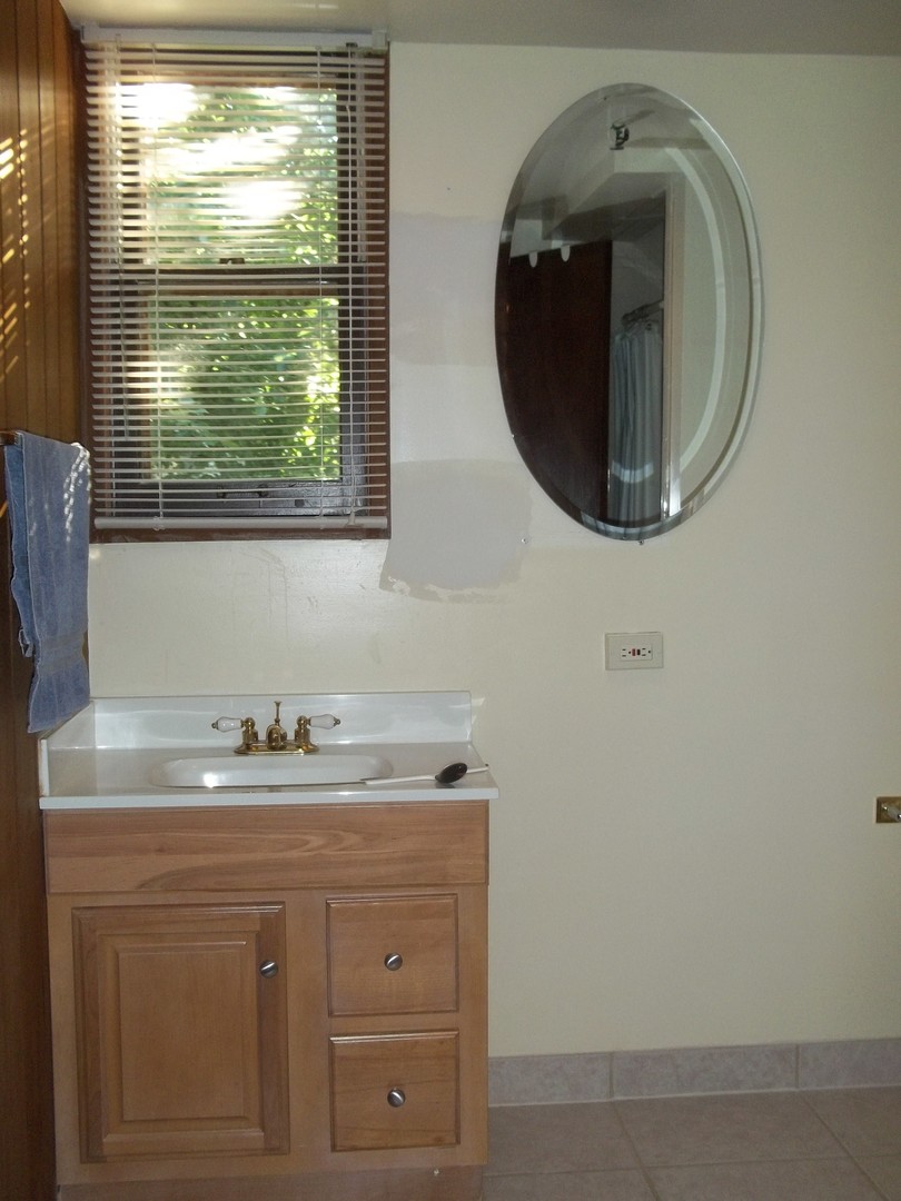 305 Oregon Avenue West Dundee, IL 60118 - Photo 60 of 68 a bathroom with a sink and mirror