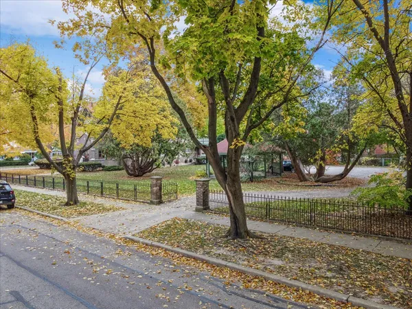 a tree in the middle of a yard