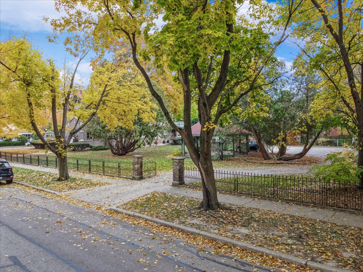 305 Oregon Avenue West Dundee, IL 60118 - Photo 6 of 68 a tree in the middle of a yard
