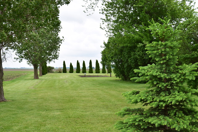 16152 University Road Malta, IL 60150 - Photo 24 of 24 a view of a trees with a yard