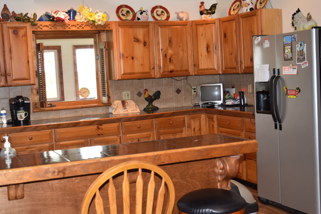 16152 University Road Malta, IL 60150 - Photo 4 of 24 a kitchen with a refrigerator and a sink