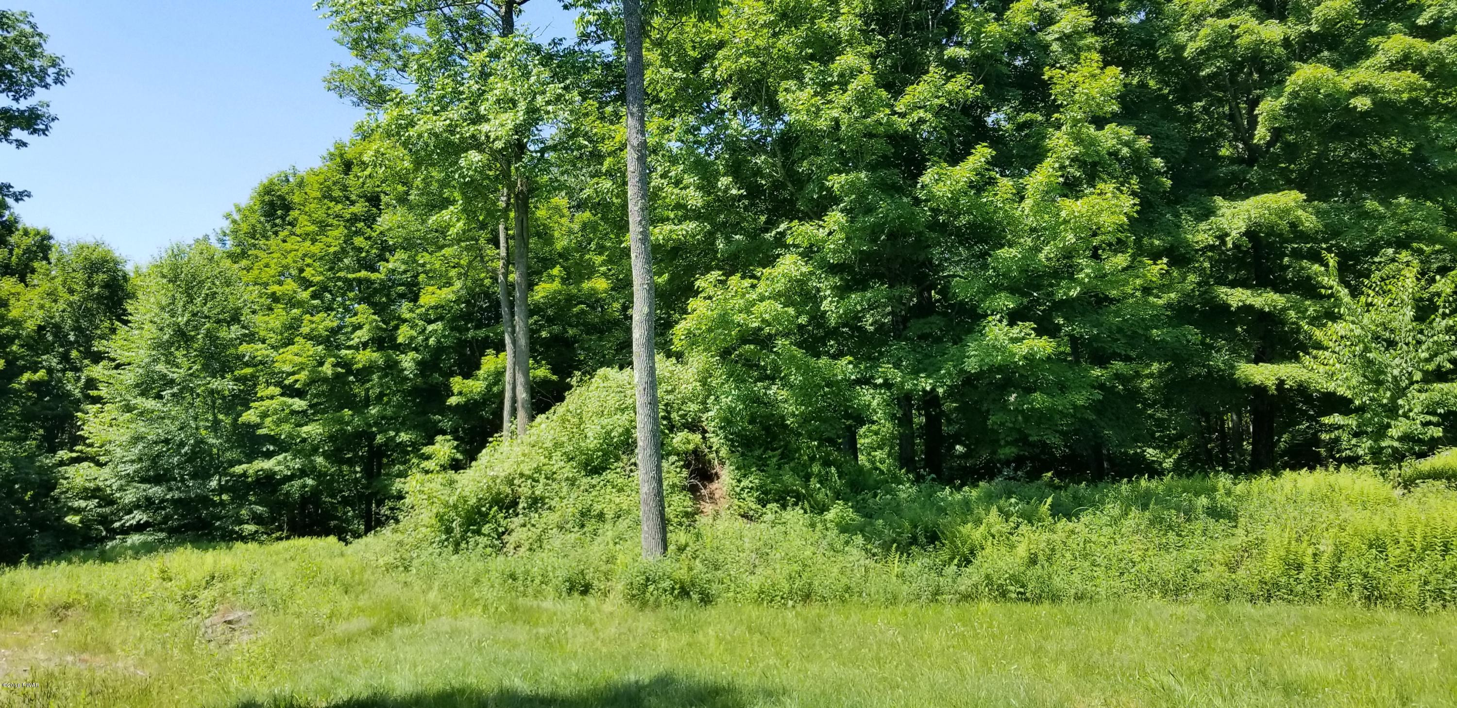 Lot 63 Old Woods Road Equinunk, PA 18417 - Photo 31 of 63