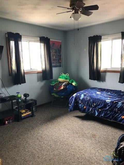 9359 Williams County Rd F Bryan, OH 43506 - Photo 17 of 22 Gallery Image 17