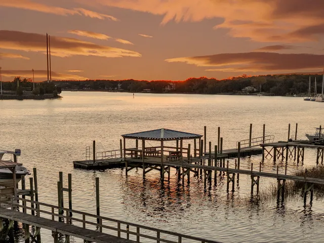 $4,500,000 | 145 Memes Way, Wando, SC 29492