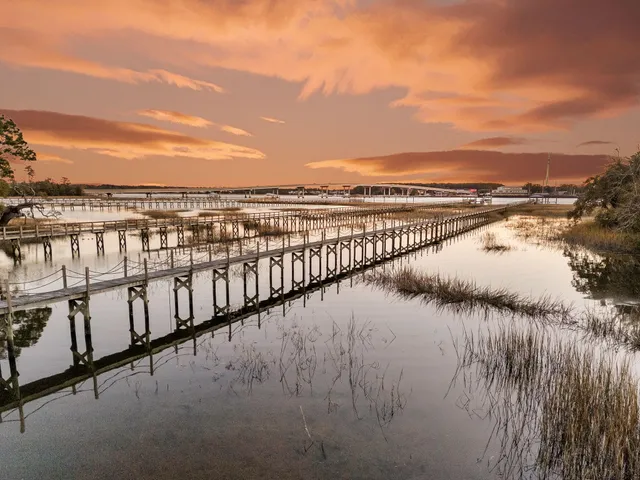 $4,500,000 | 145 Memes Way, Wando, SC 29492