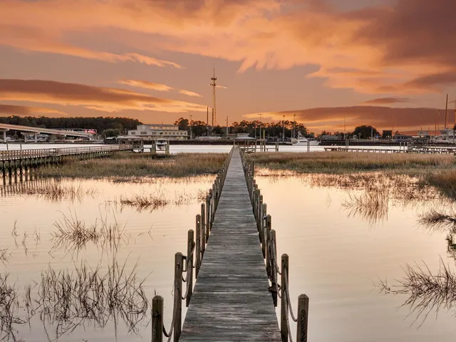 $4,500,000 | 145 Memes Way, Wando, SC 29492