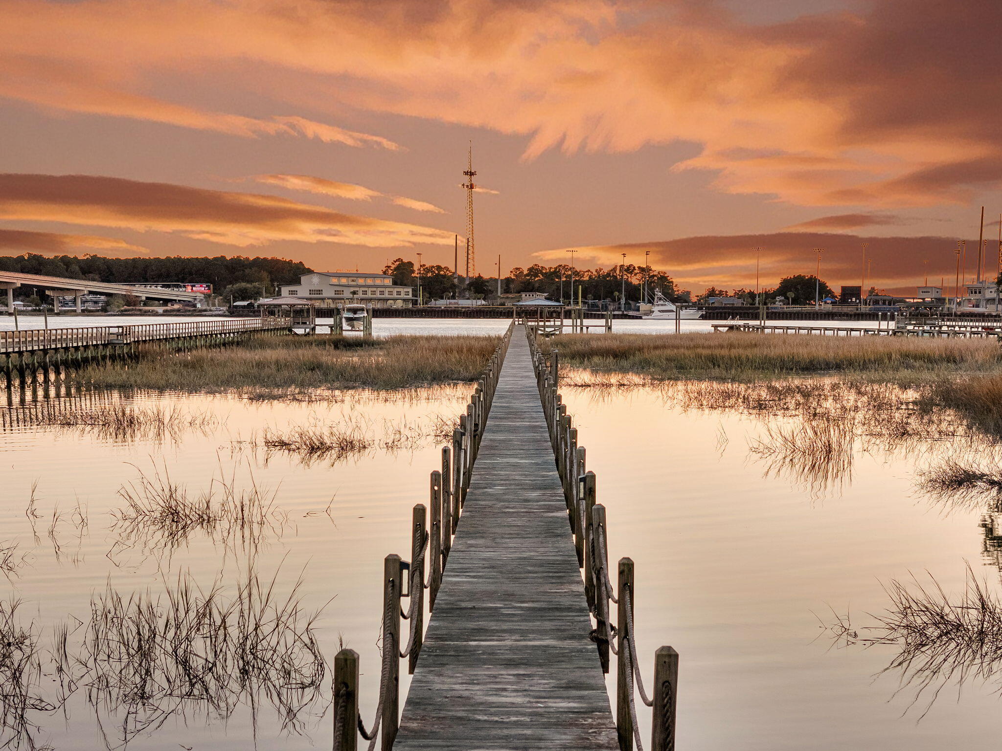 145 Memes Way Wando, SC 29492 - Photo 76 of 94 CREM - 145 Memes Way twilight-10