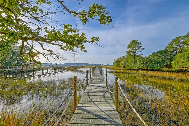 $4,500,000 | 145 Memes Way, Wando, SC 29492