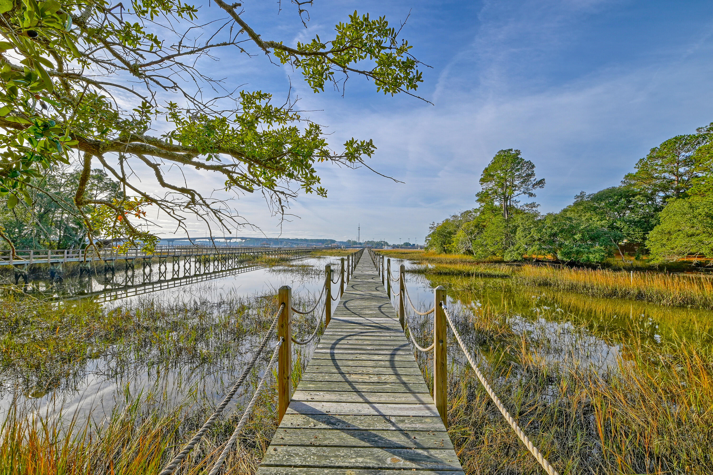 145 Memes Way Wando, SC 29492 - Photo 82 of 94 DSC_6752-HDR(5)