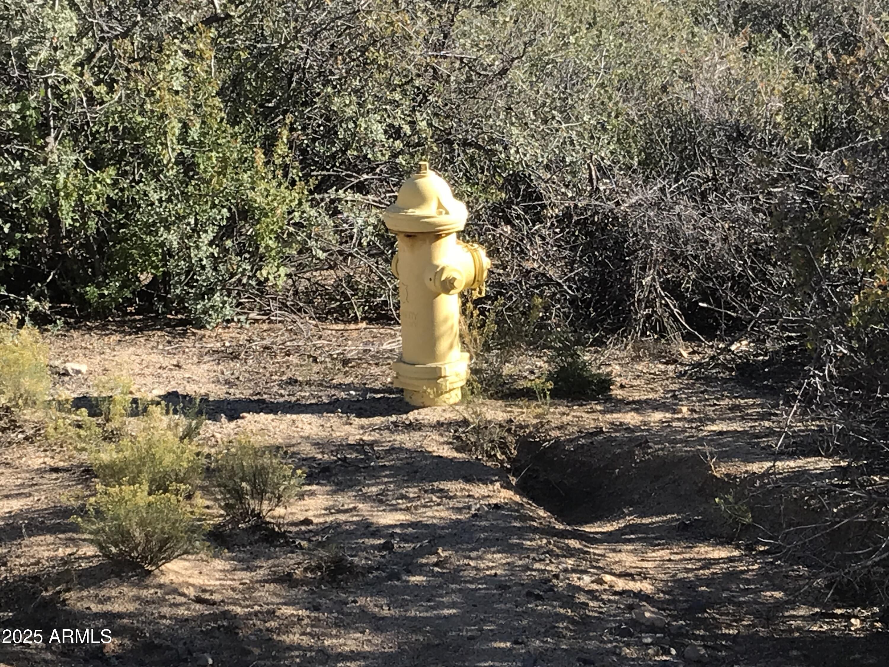 8335 West Barrington Road, Unit 107 Wilhoit, AZ 86332 - Photo 3 of 13 a view of a yard with a tree
