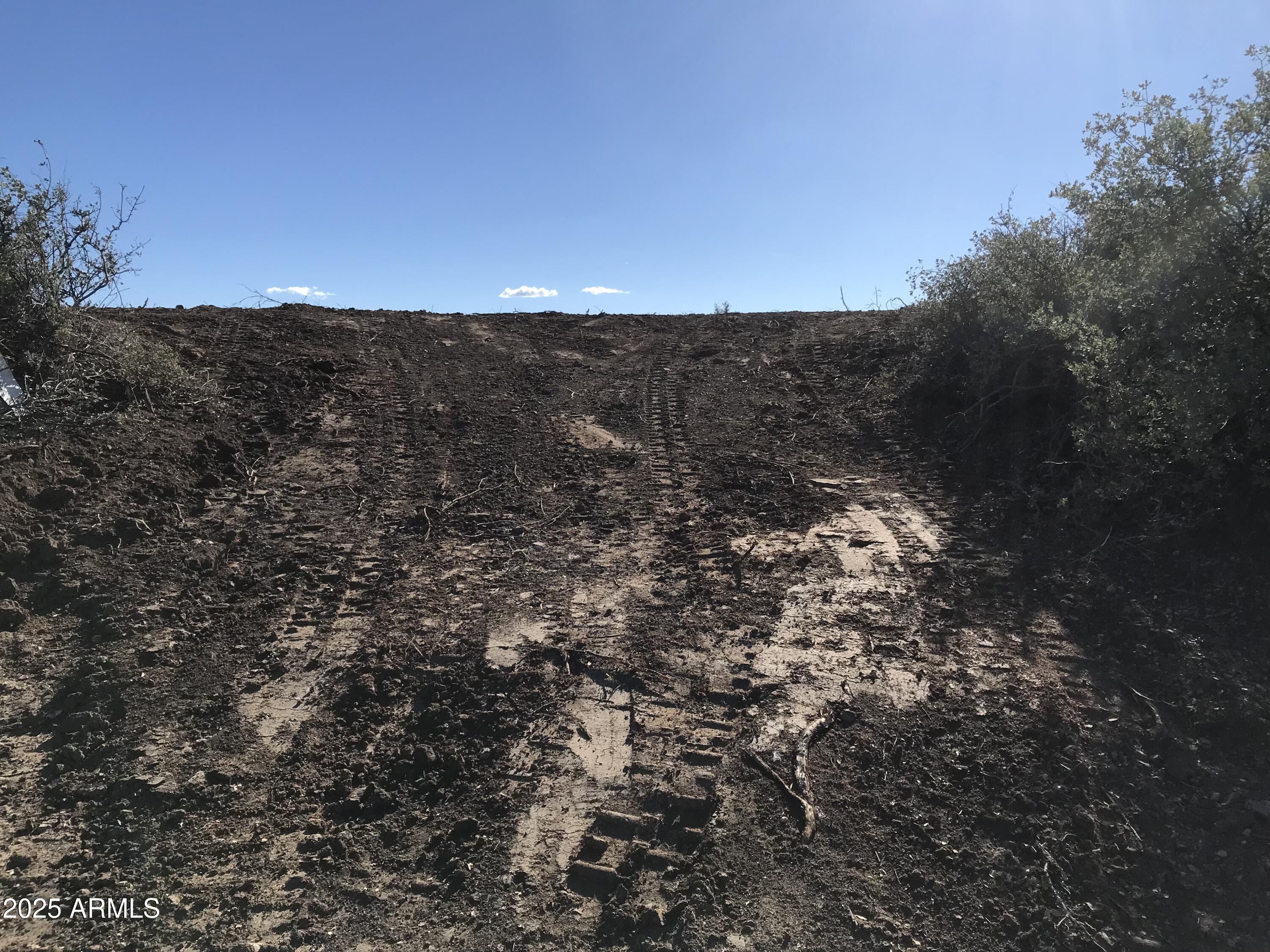 8335 West Barrington Road, Unit 107 Wilhoit, AZ 86332 - Photo 9 of 13 a view of a dry yard with mountains in the background