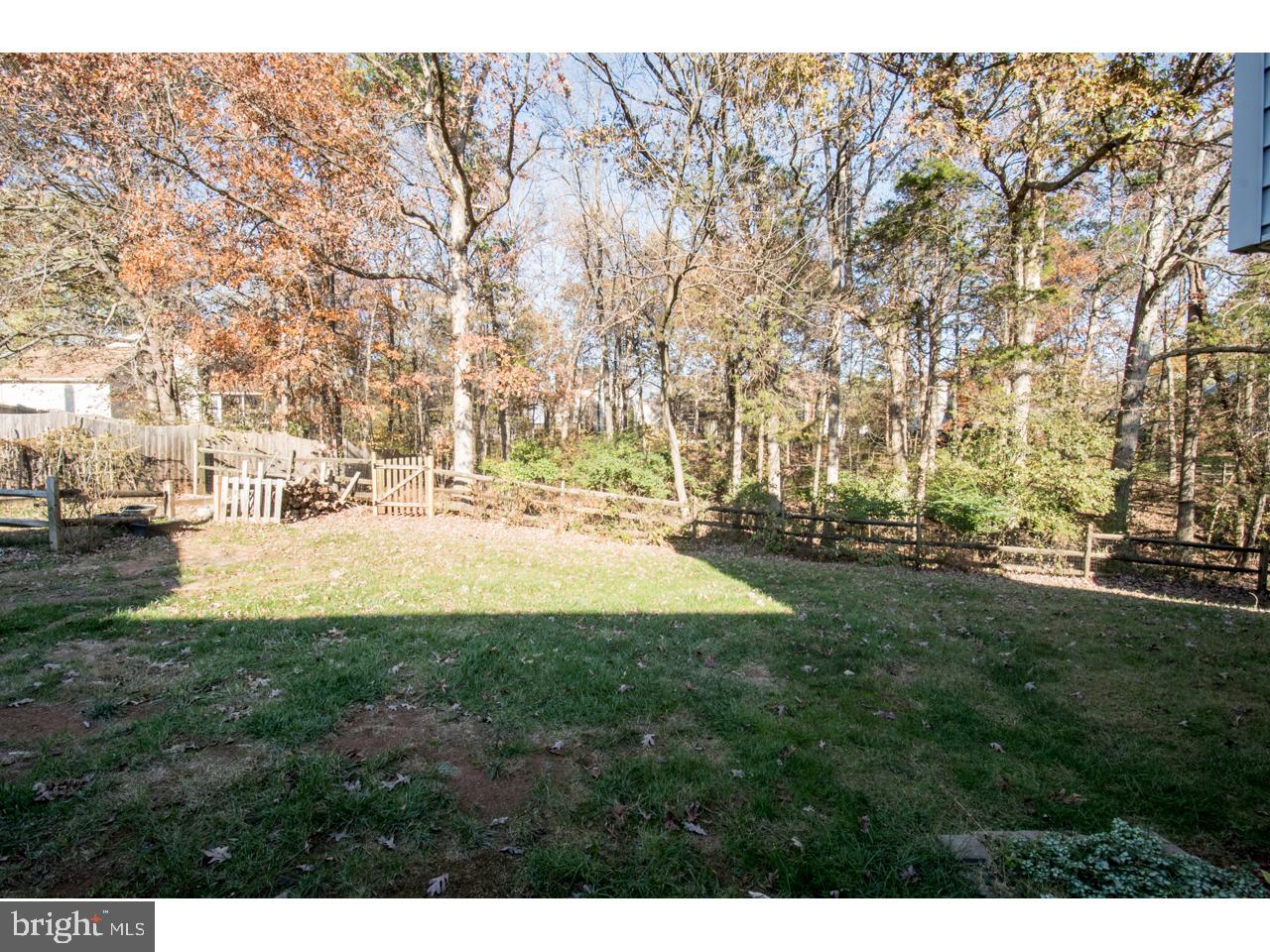 415 Spring Ridge Court Sterling, VA 20164 - Photo 46 of 49 Open space backing to trees