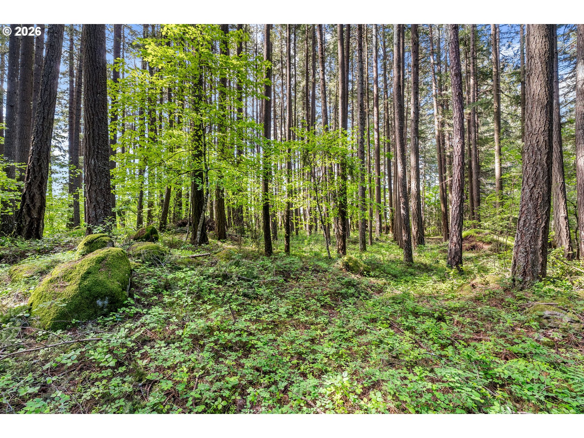 586 Northwest Loop Road White Salmon, WA 98672 - Photo 11 of 48