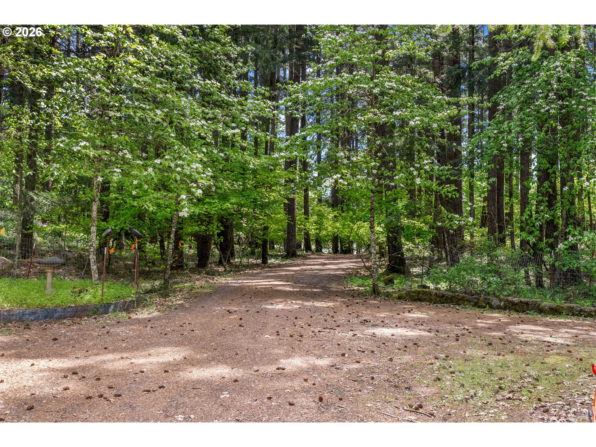 586 Northwest Loop Road White Salmon, WA 98672 - Photo 13 of 48 a view of a yard with a tree