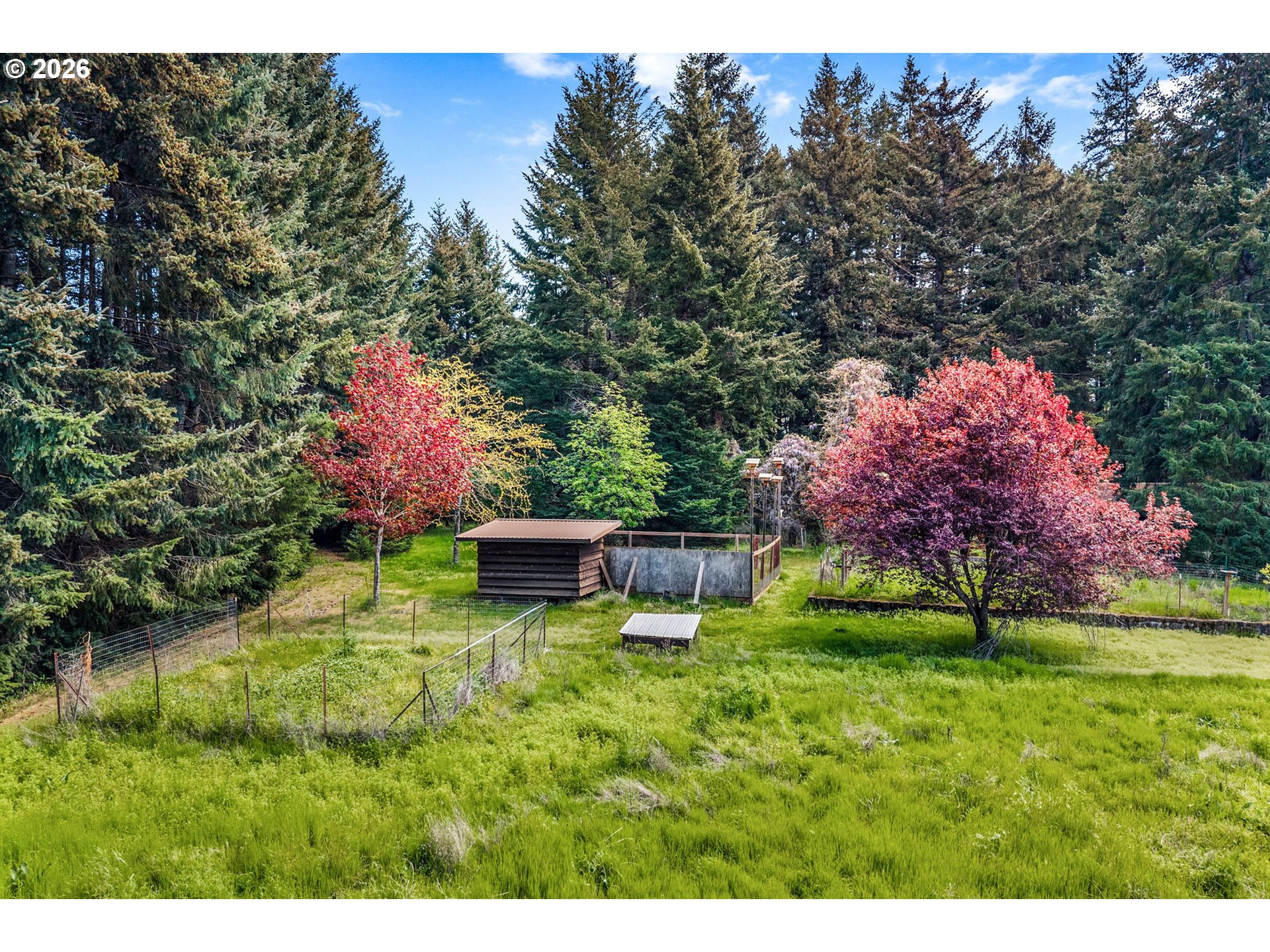 586 Northwest Loop Road White Salmon, WA 98672 - Photo 41 of 48 a backyard of a house with lots of green space