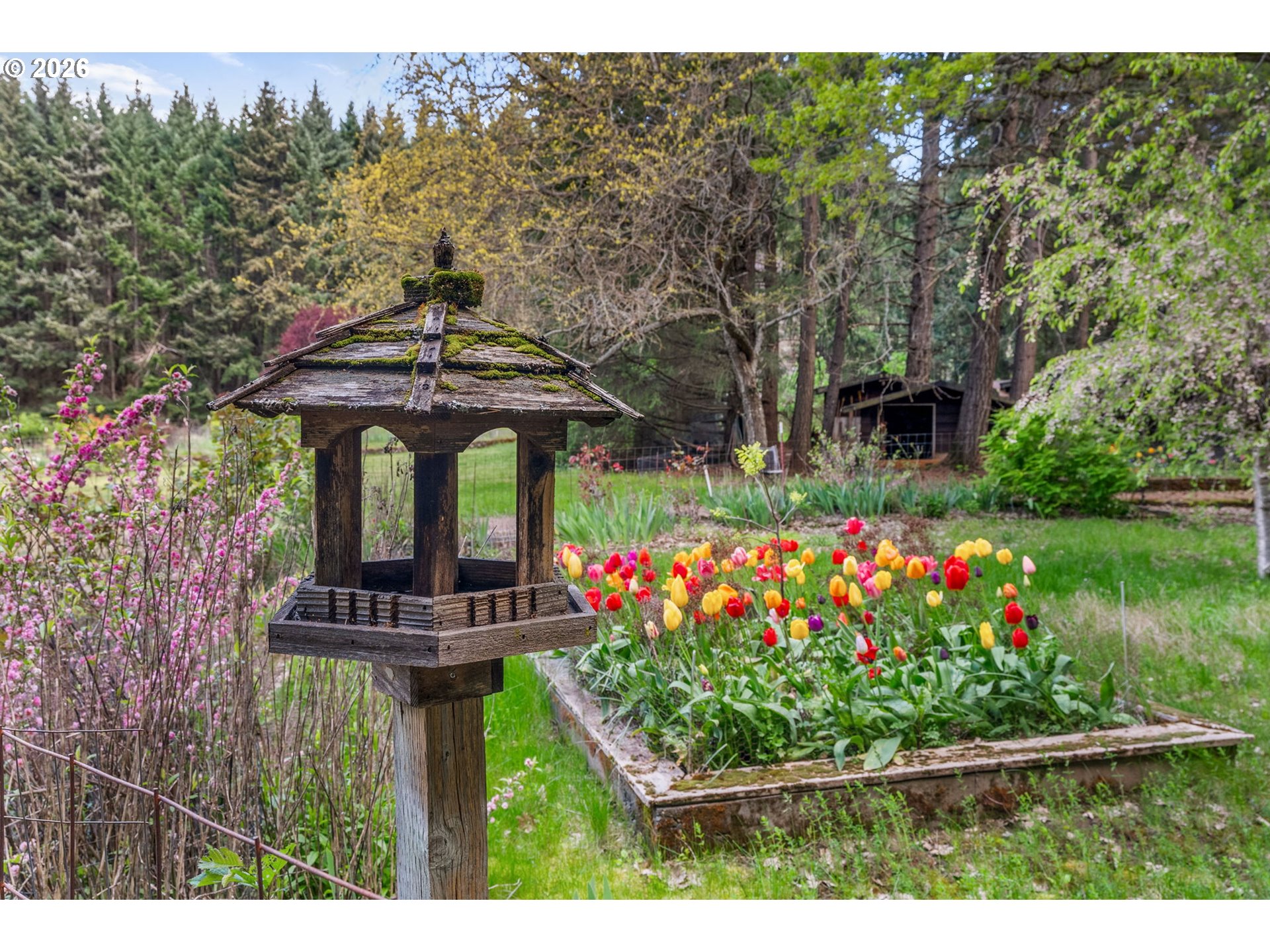 586 Northwest Loop Road White Salmon, WA 98672 - Photo 9 of 48 a view of a garden with flowers