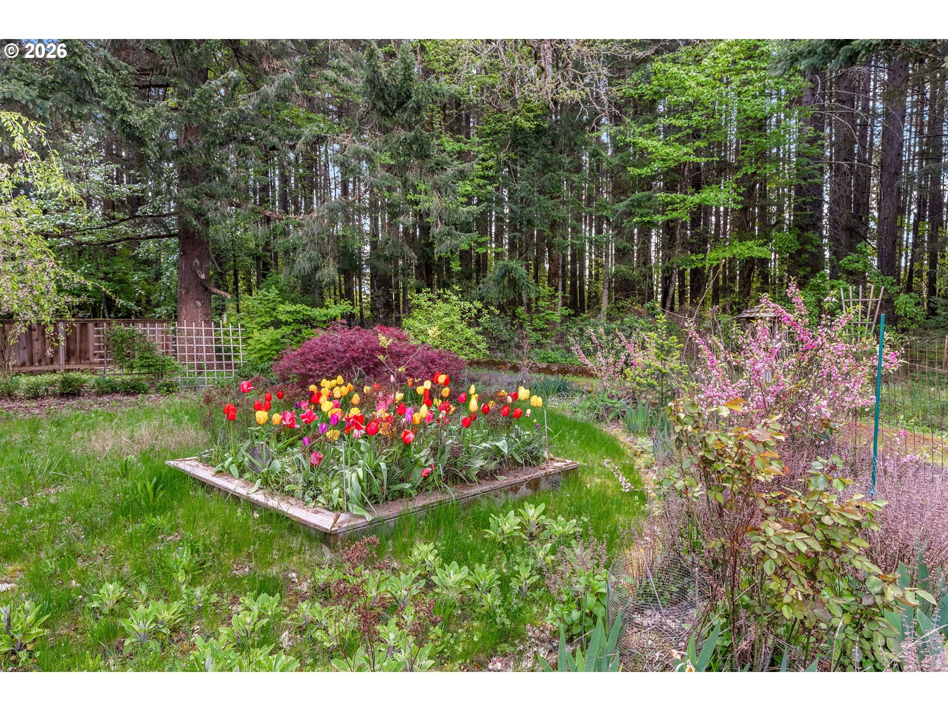 586 Northwest Loop Road White Salmon, WA 98672 - Photo 10 of 48 a backyard of a house with lots of green space and garden