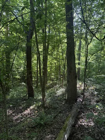 $44,000 | 0 West Crigger Road, Millington, TN 38053