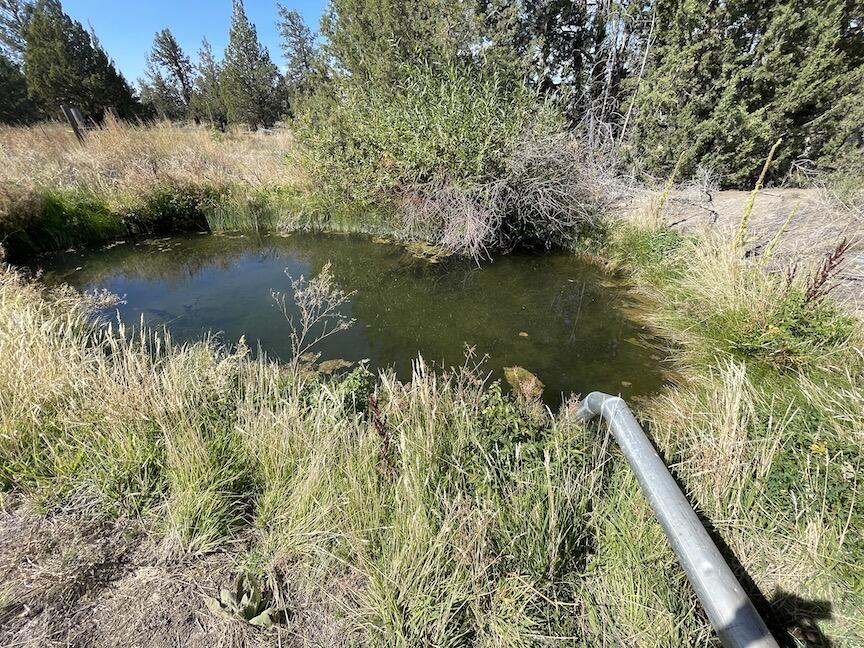62955 Johnson Ranch Road Bend, OR 97701 - Photo 6 of 8 Ktz Pond