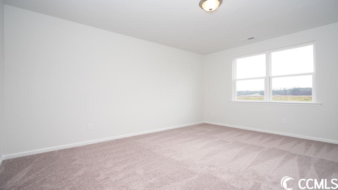 997 Corn Husk Loop Conway, SC 29527 - Photo 21 of 40