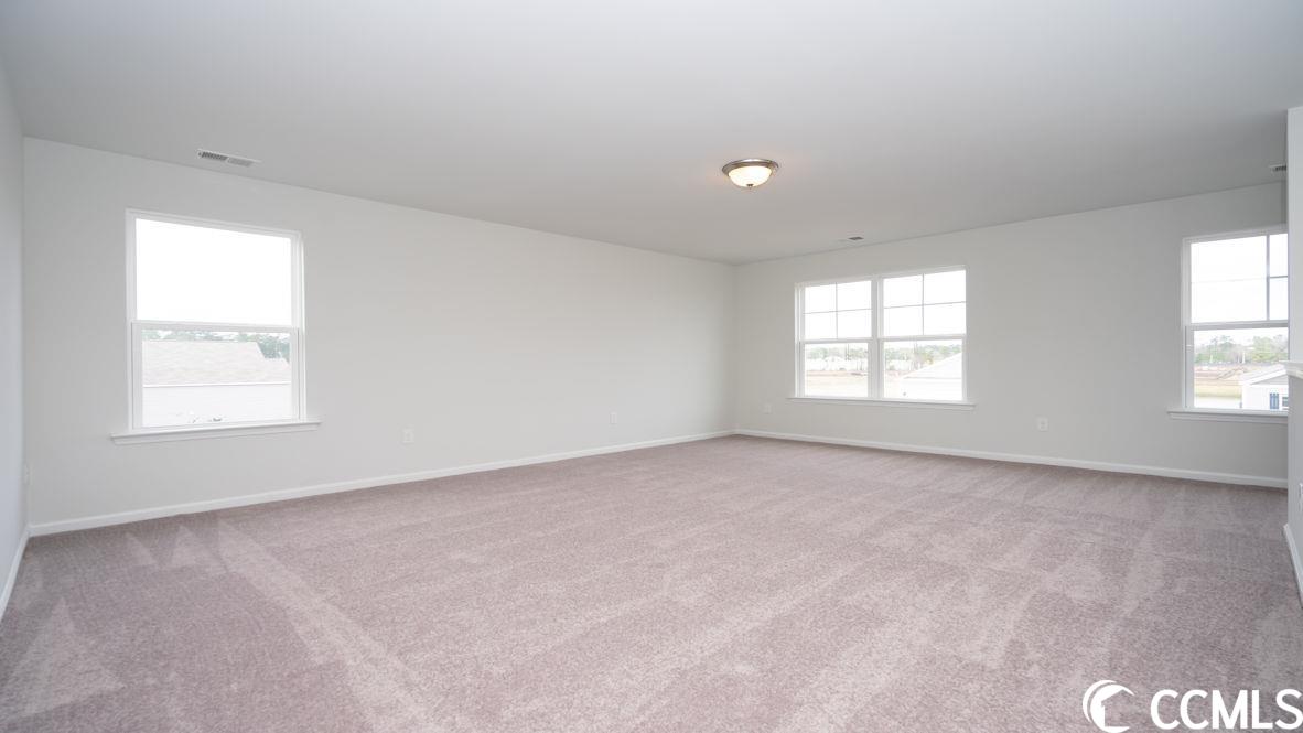 997 Corn Husk Loop Conway, SC 29527 - Photo 28 of 40