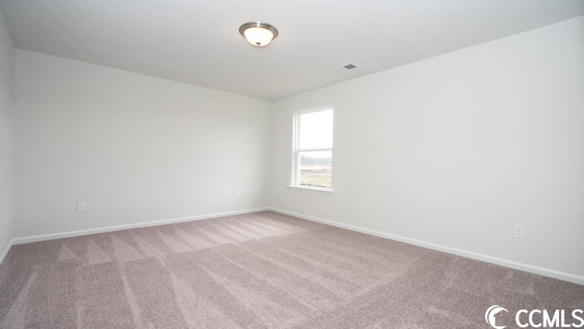 997 Corn Husk Loop Conway, SC 29527 - Photo 34 of 40