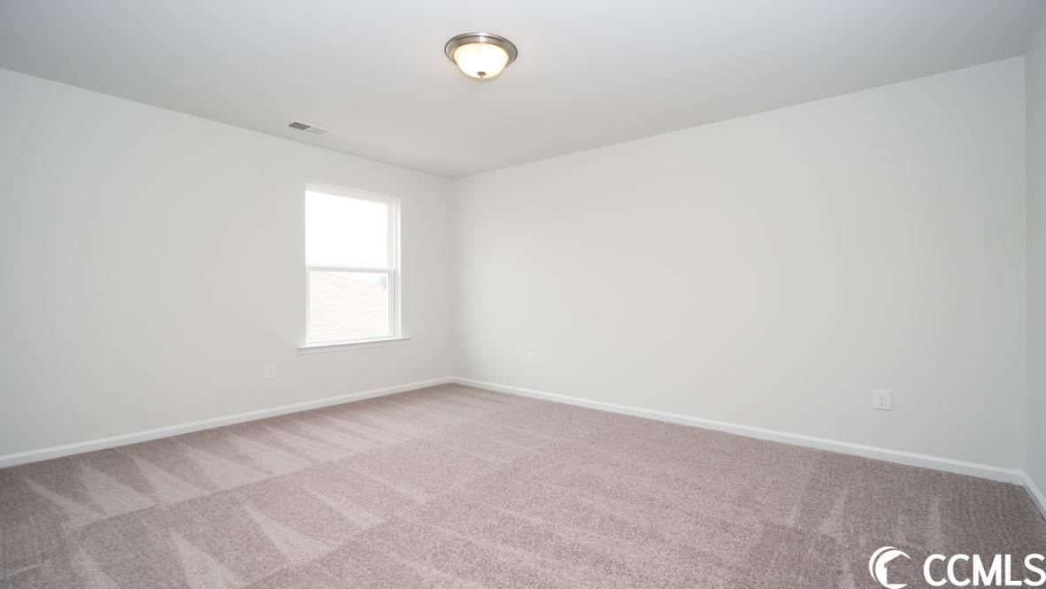 997 Corn Husk Loop Conway, SC 29527 - Photo 37 of 40