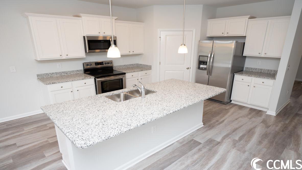 997 Corn Husk Loop Conway, SC 29527 - Photo 10 of 40