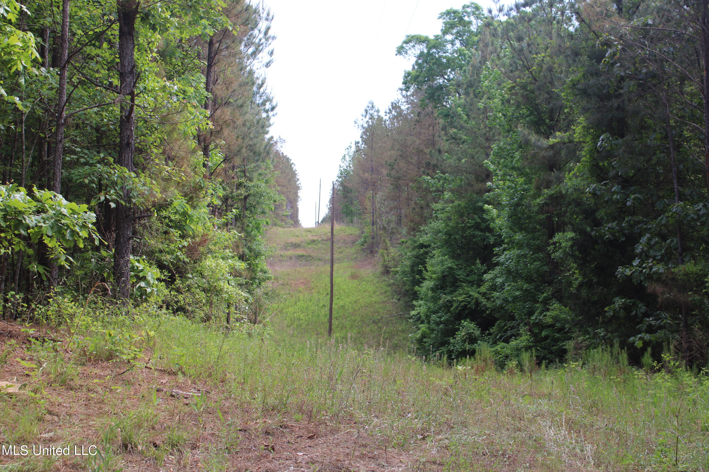 0 Co Road Kilmichael, MS 39747 - Photo 1 of 37 1