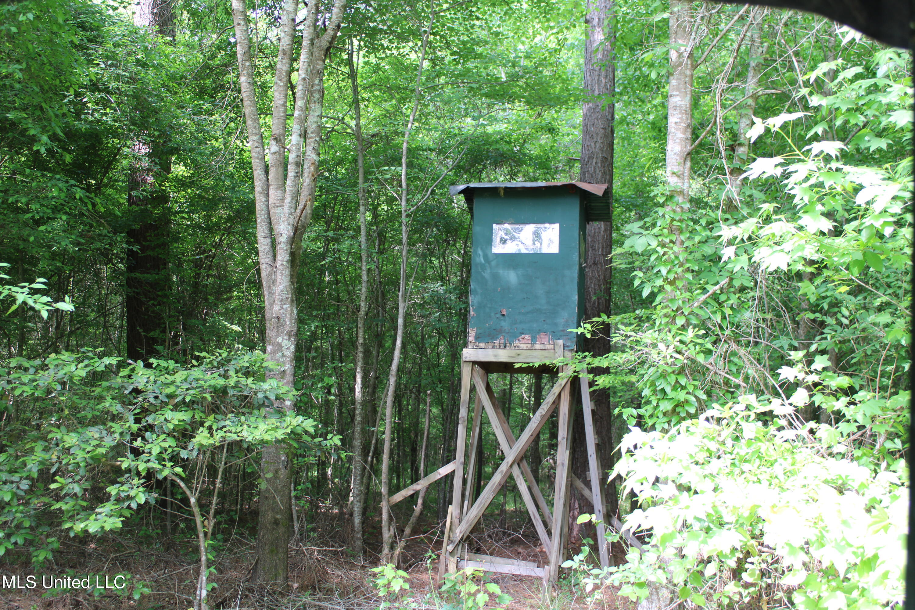 0 Co Road Kilmichael, MS 39747 - Photo 12 of 37 IMG_2270