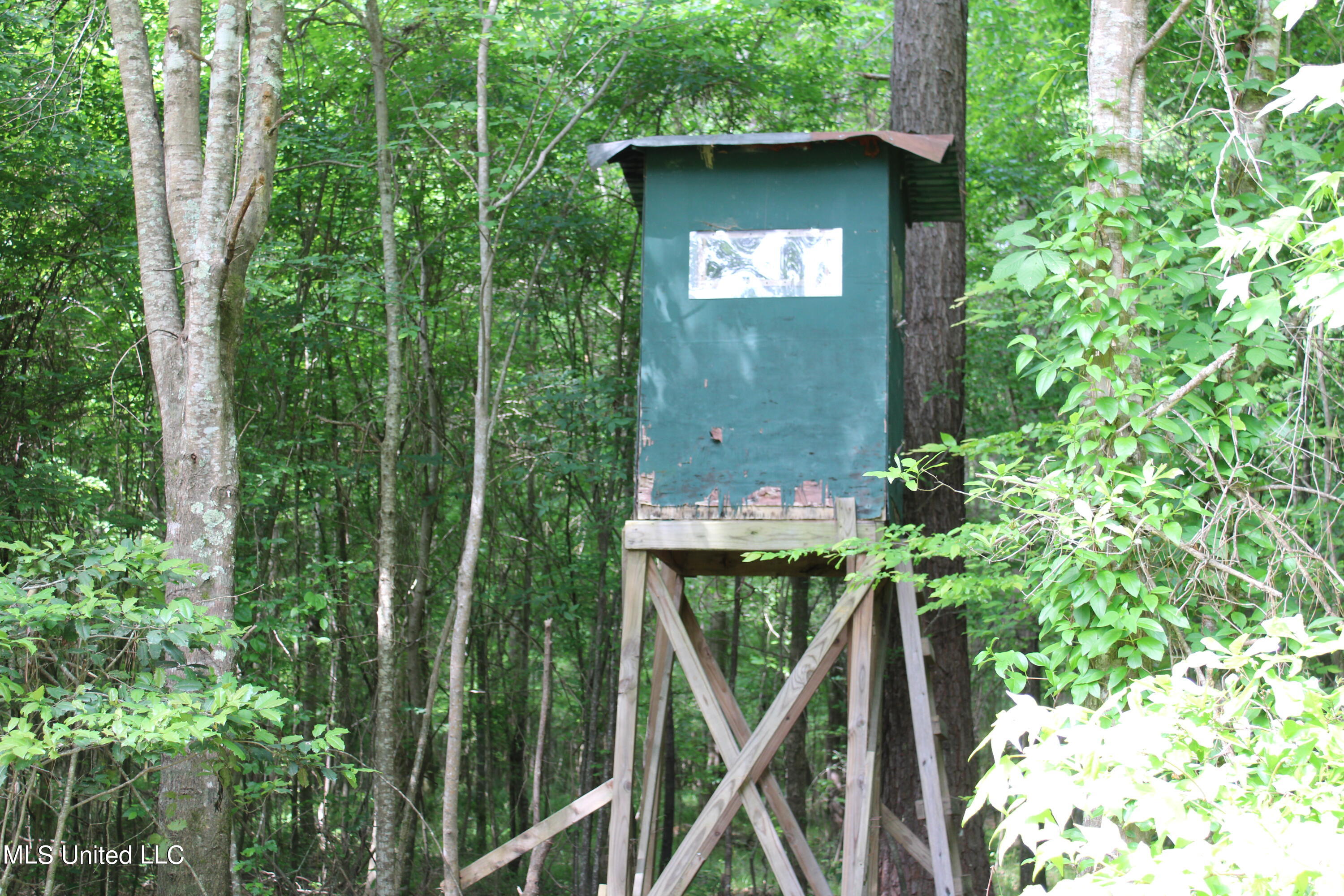 0 Co Road Kilmichael, MS 39747 - Photo 13 of 37 IMG_2271