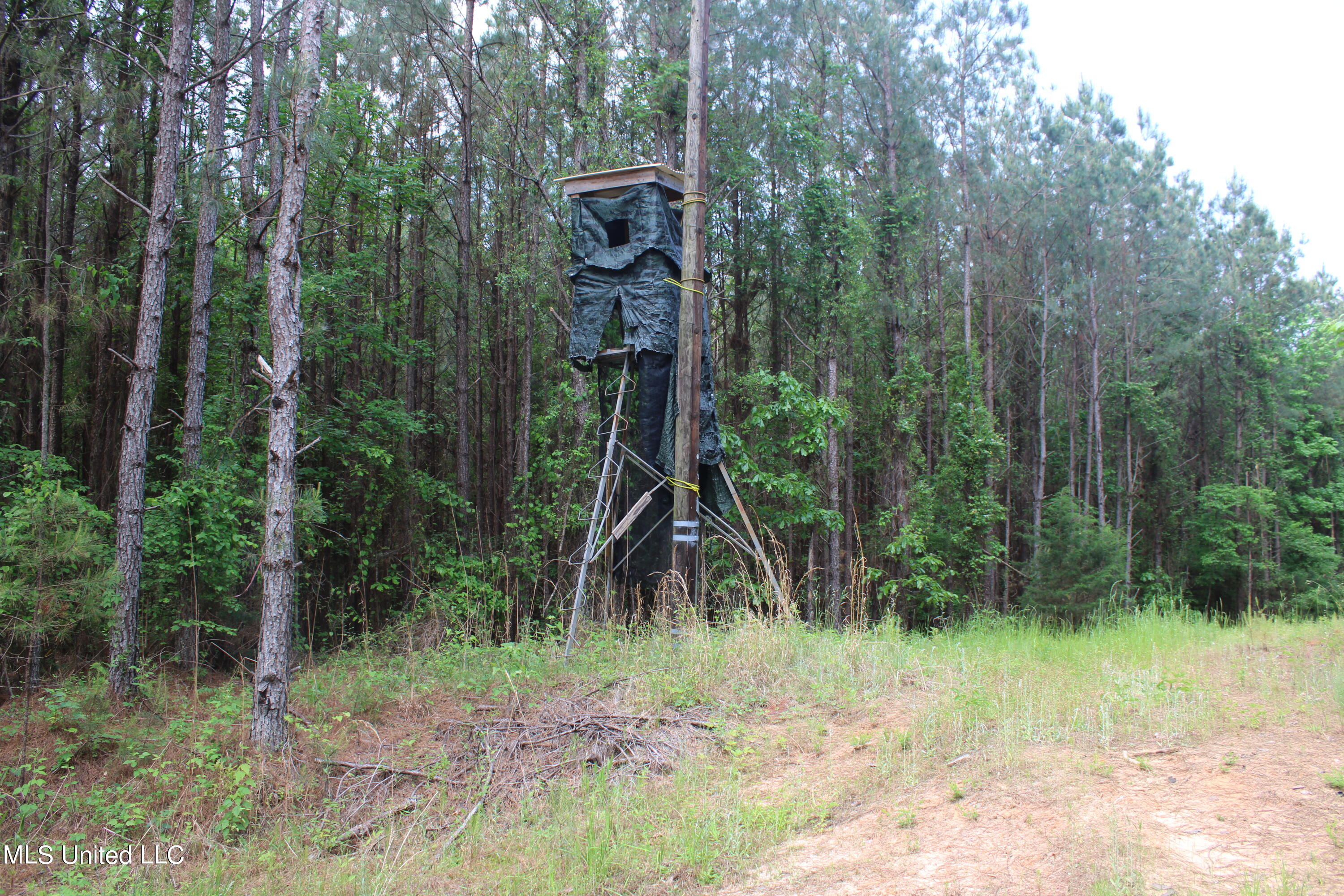 0 Co Road Kilmichael, MS 39747 - Photo 2 of 37 IMG_2257