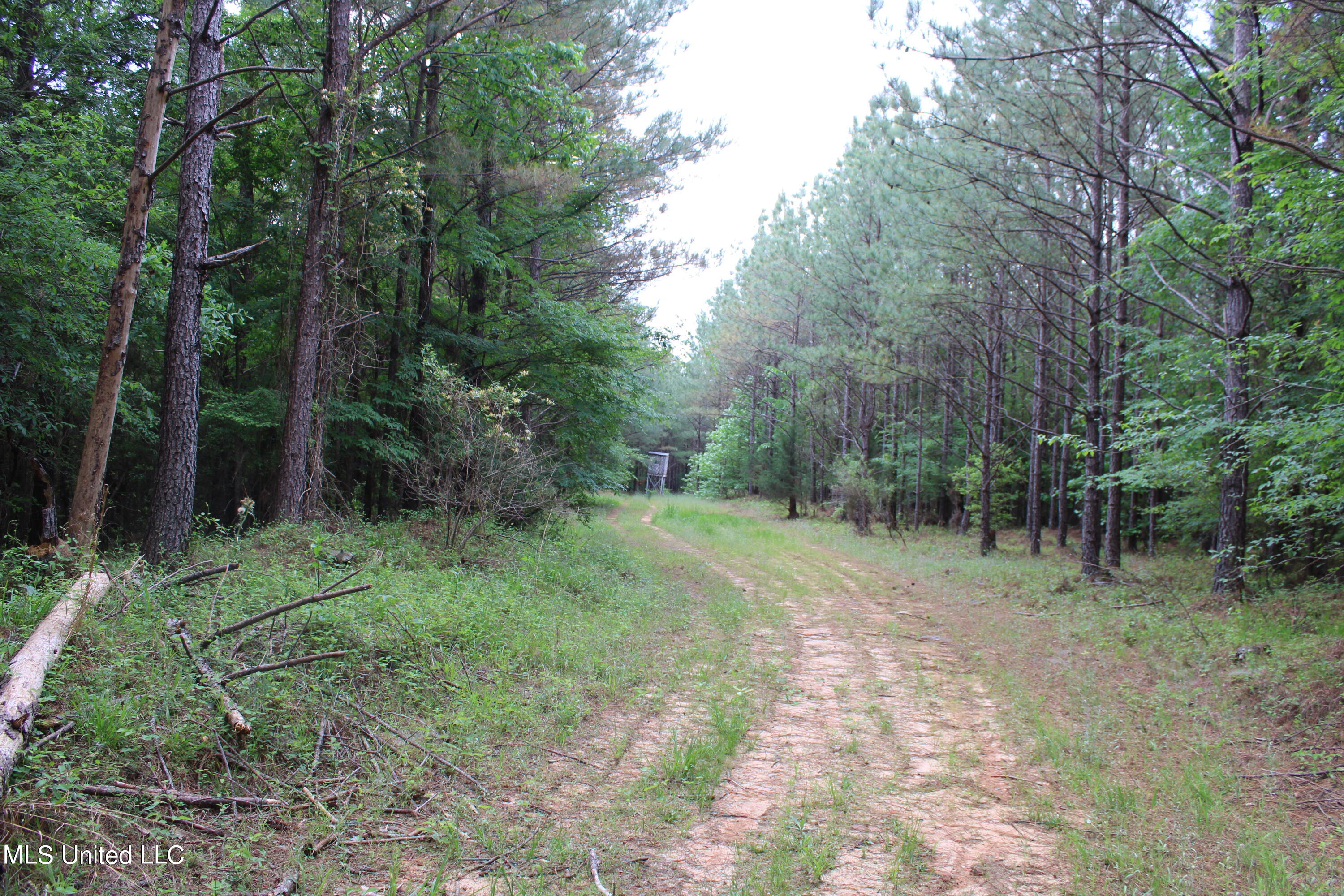 0 Co Road Kilmichael, MS 39747 - Photo 23 of 37 IMG_2283