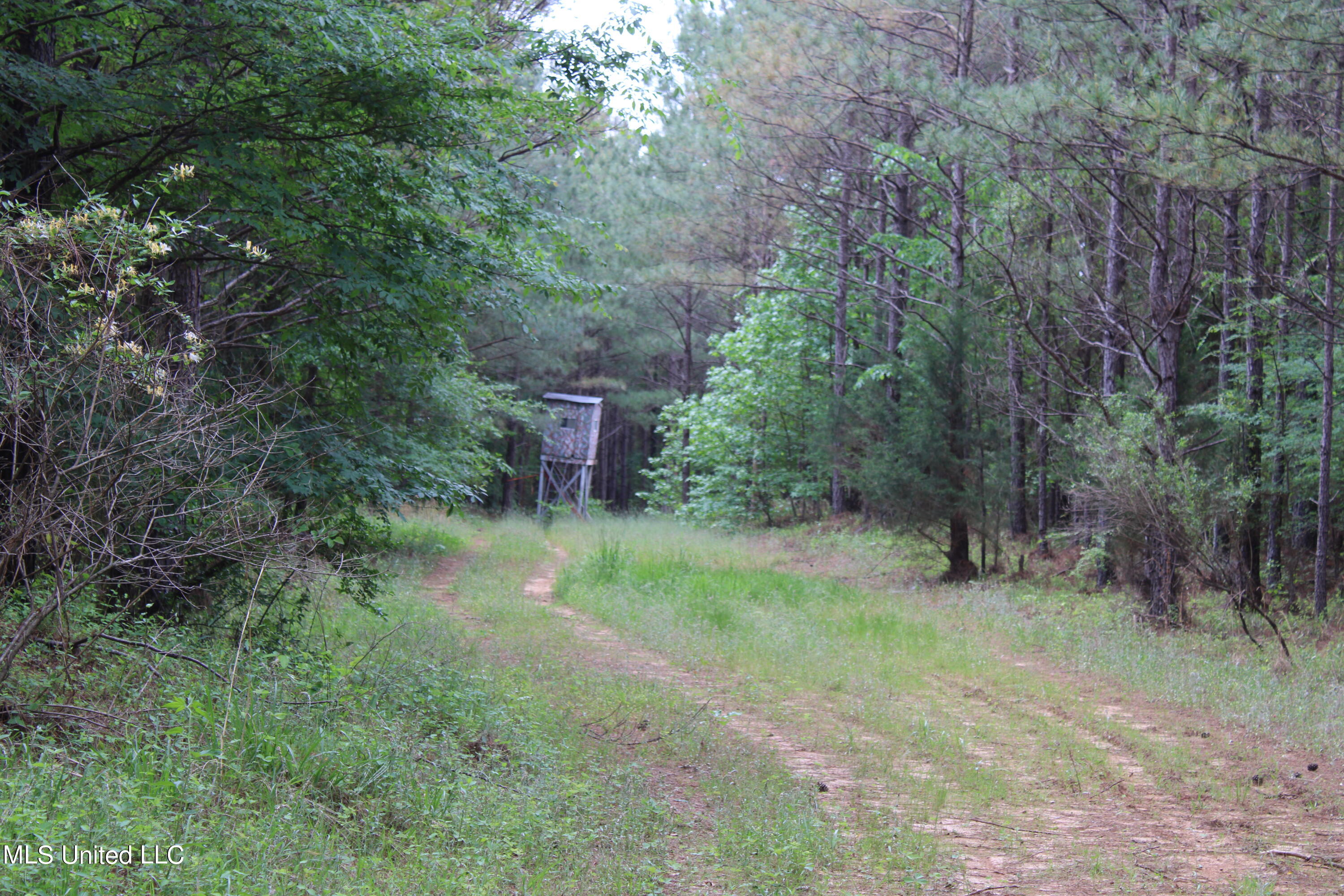 0 Co Road Kilmichael, MS 39747 - Photo 24 of 37 IMG_2284