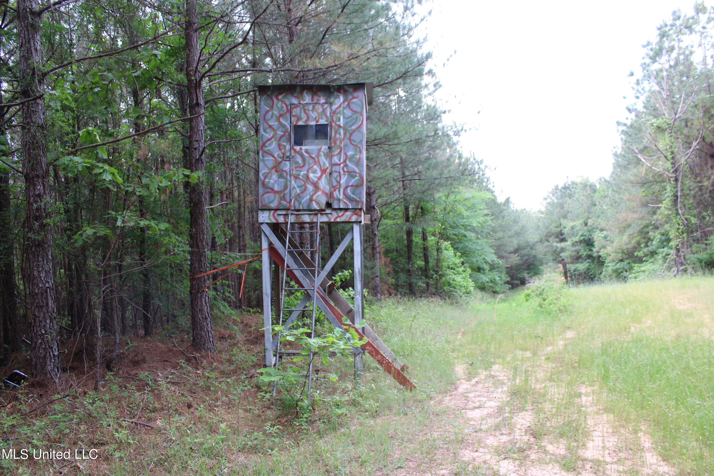 0 Co Road Kilmichael, MS 39747 - Photo 25 of 37 IMG_2285