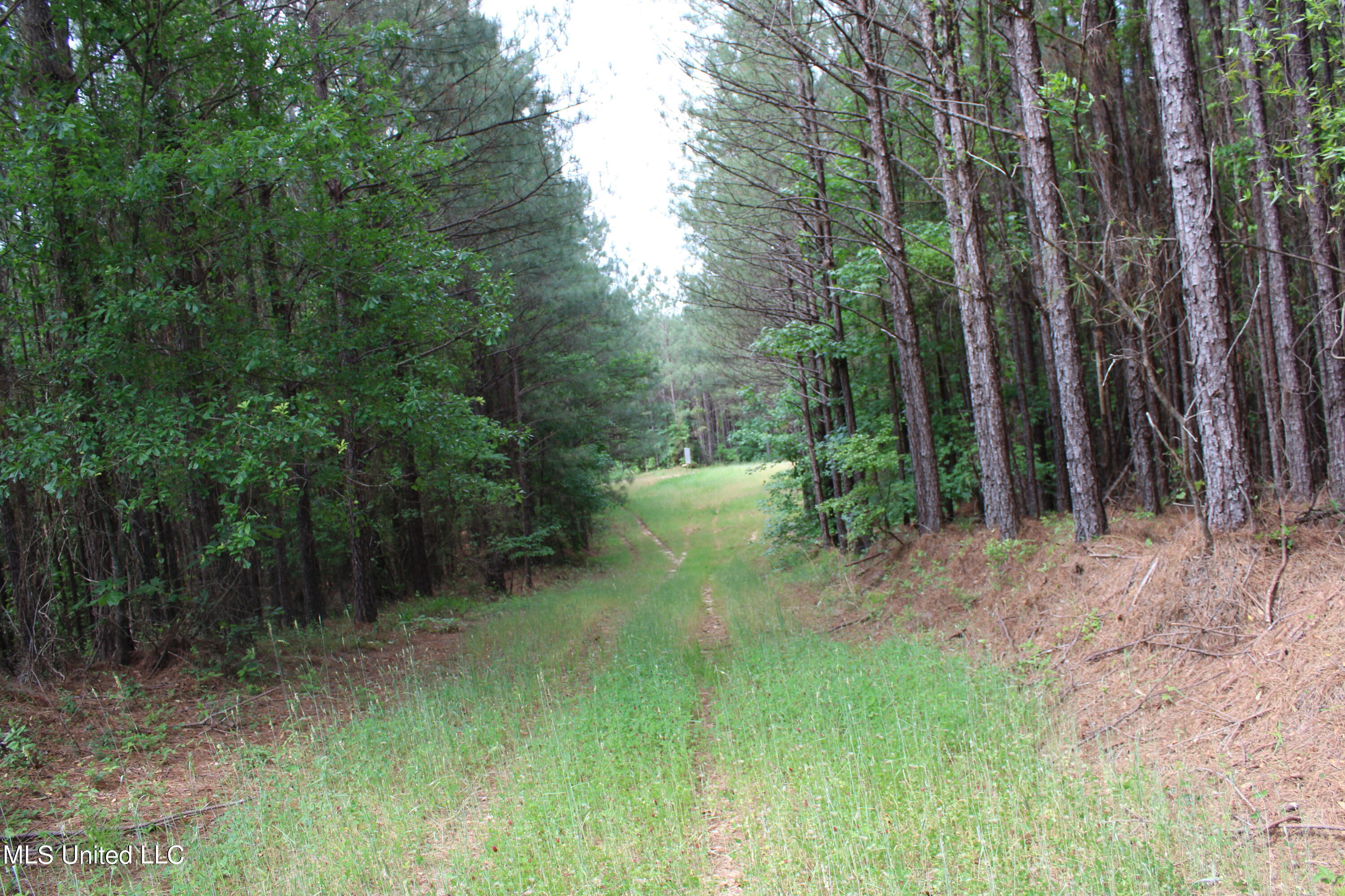0 Co Road Kilmichael, MS 39747 - Photo 26 of 37 IMG_2286