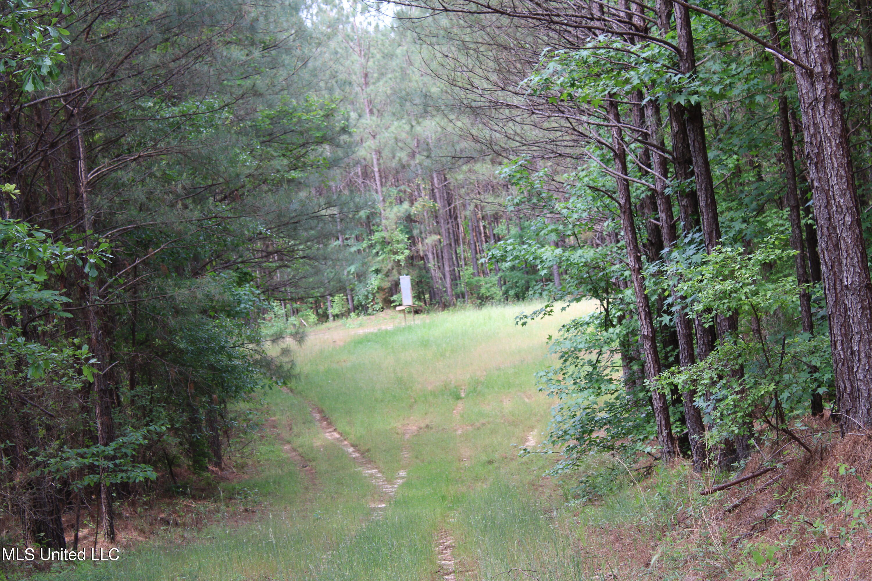 0 Co Road Kilmichael, MS 39747 - Photo 27 of 37 IMG_2287