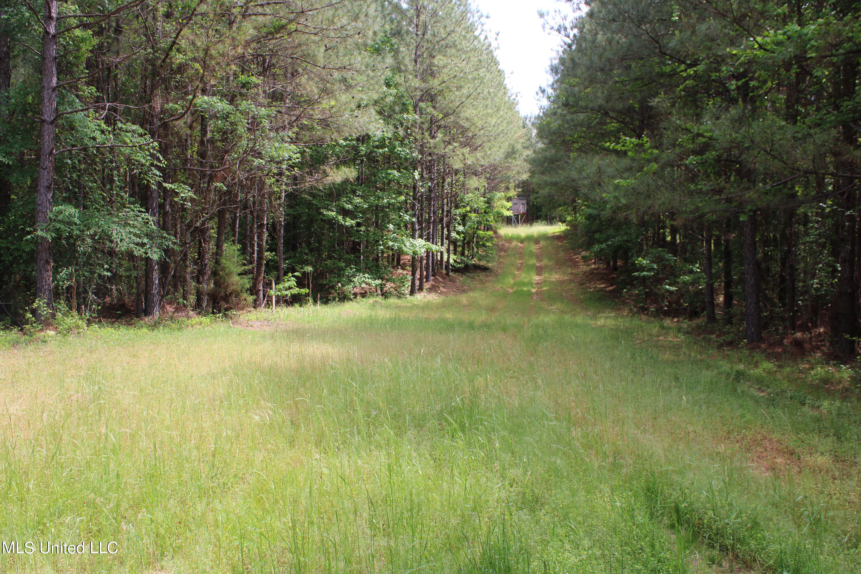 0 Co Road Kilmichael, MS 39747 - Photo 28 of 37 IMG_2289