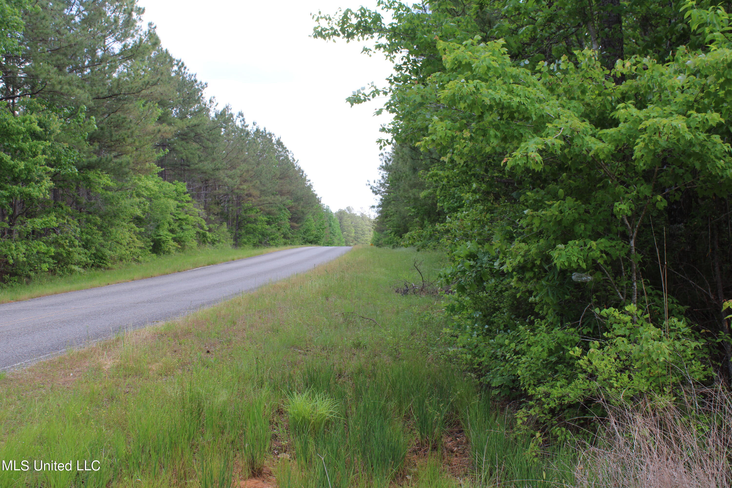 0 Co Road Kilmichael, MS 39747 - Photo 35 of 37 IMG_2300