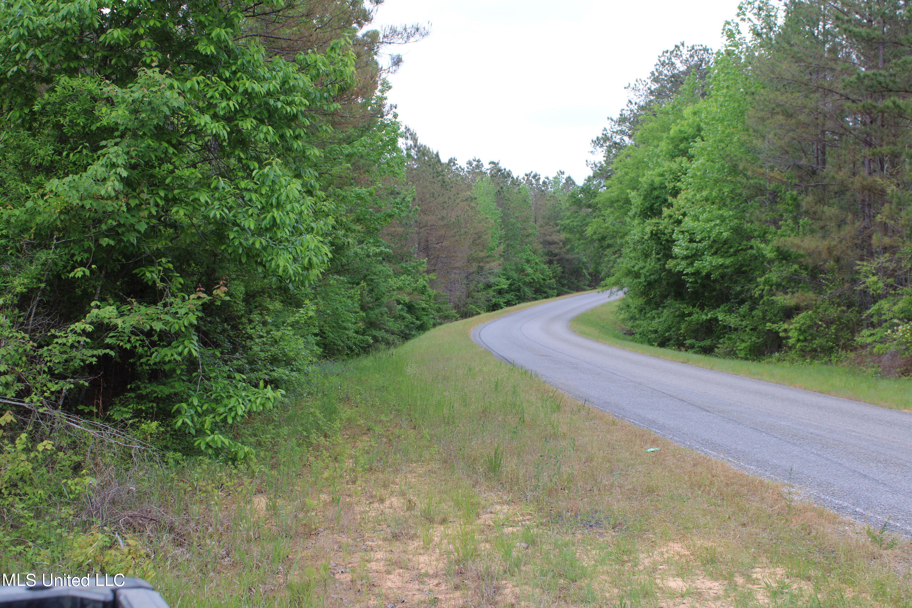 0 Co Road Kilmichael, MS 39747 - Photo 36 of 37 IMG_2301