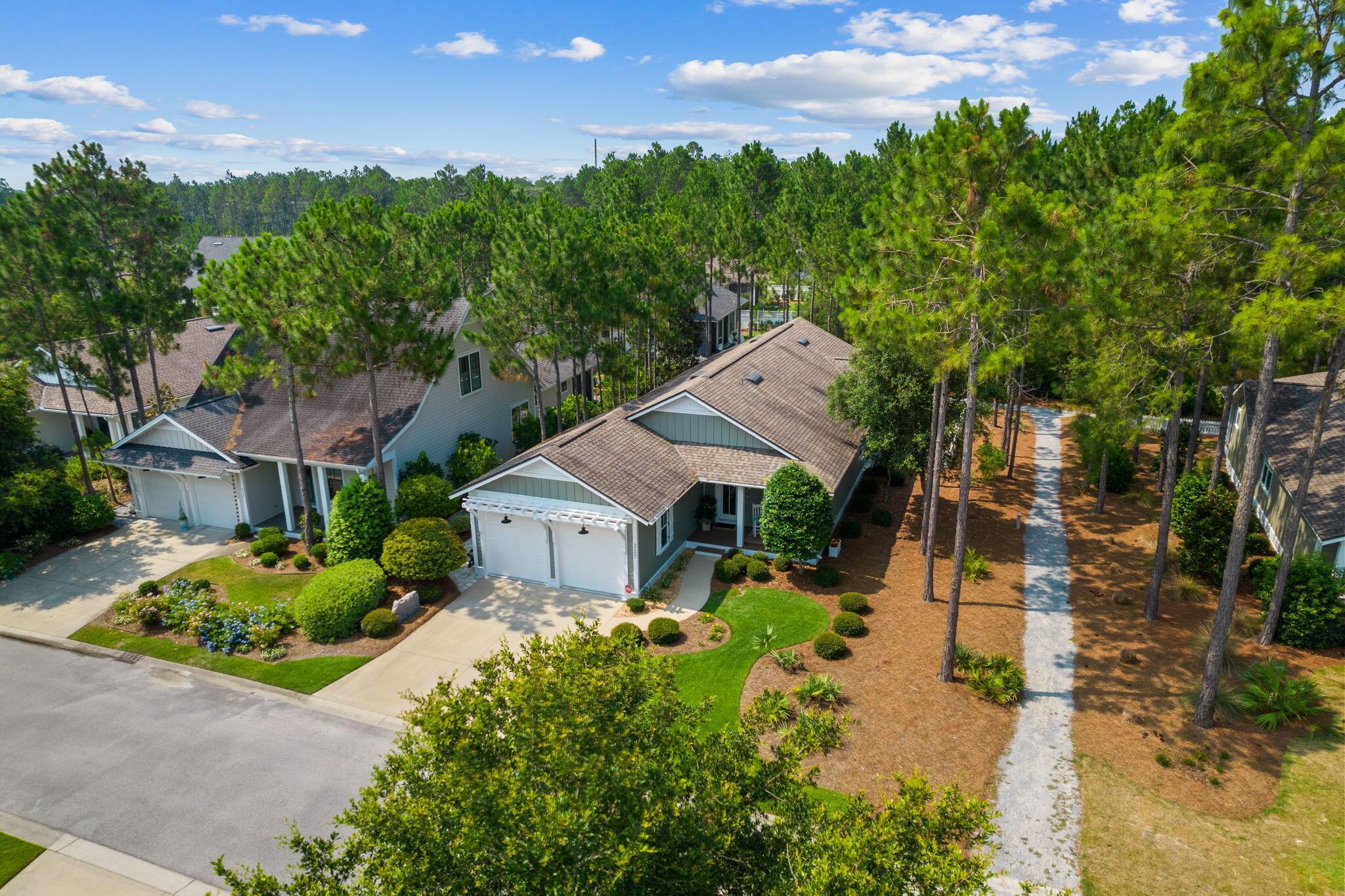 227 Jack Knife Drive Inlet Beach, FL 32461 - Photo 1 of 54 an aerial view of a house with a garden and plants