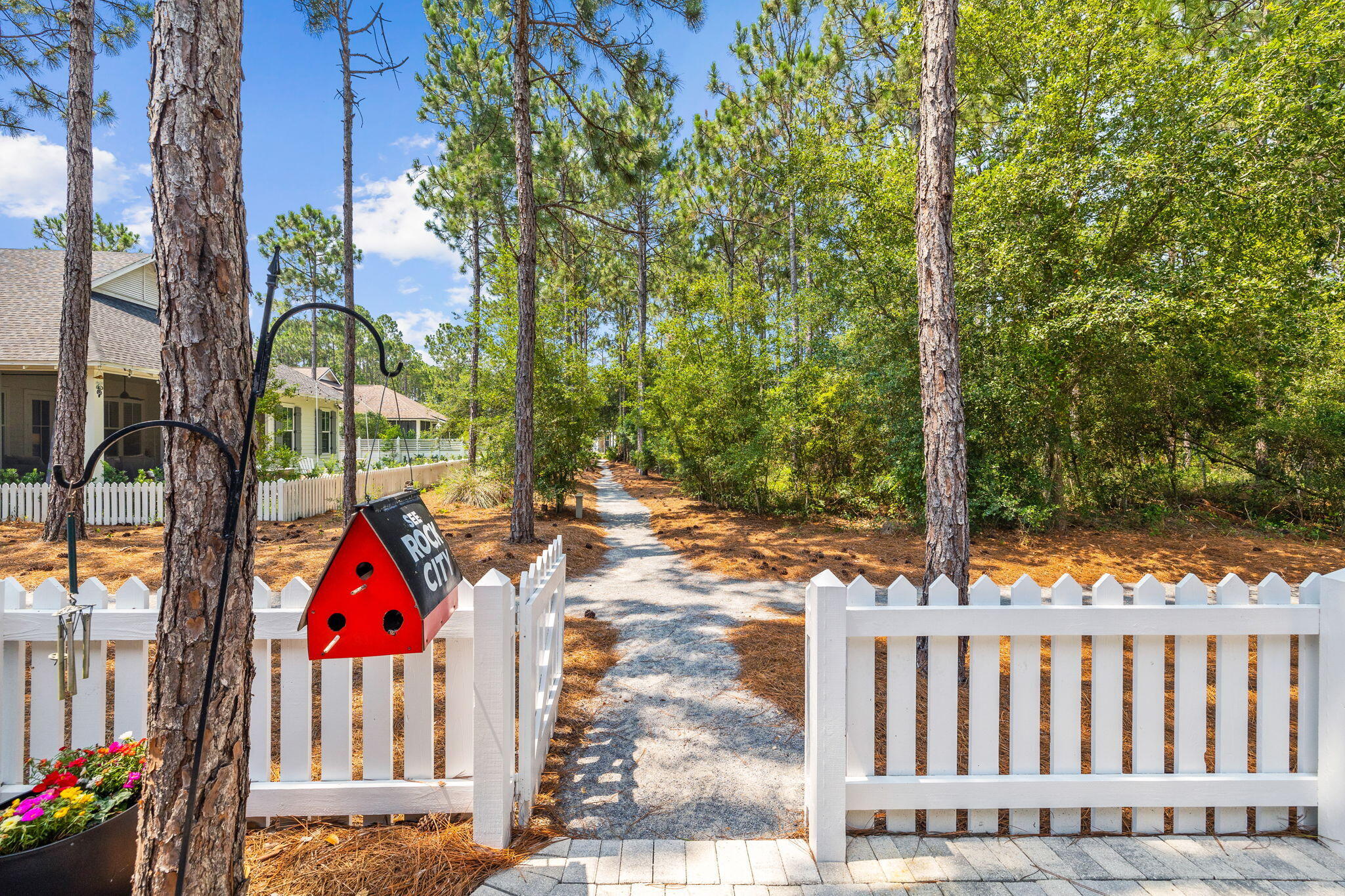 227 Jack Knife Drive Inlet Beach, FL 32461 - Photo 12 of 54 a view of small yard in front of house