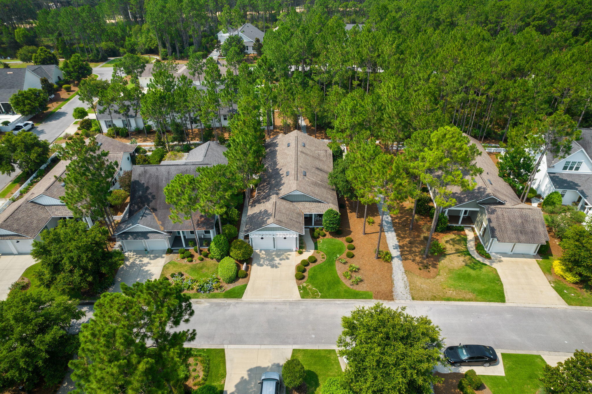 227 Jack Knife Drive Inlet Beach, FL 32461 - Photo 5 of 54 an aerial view of a house with a garden