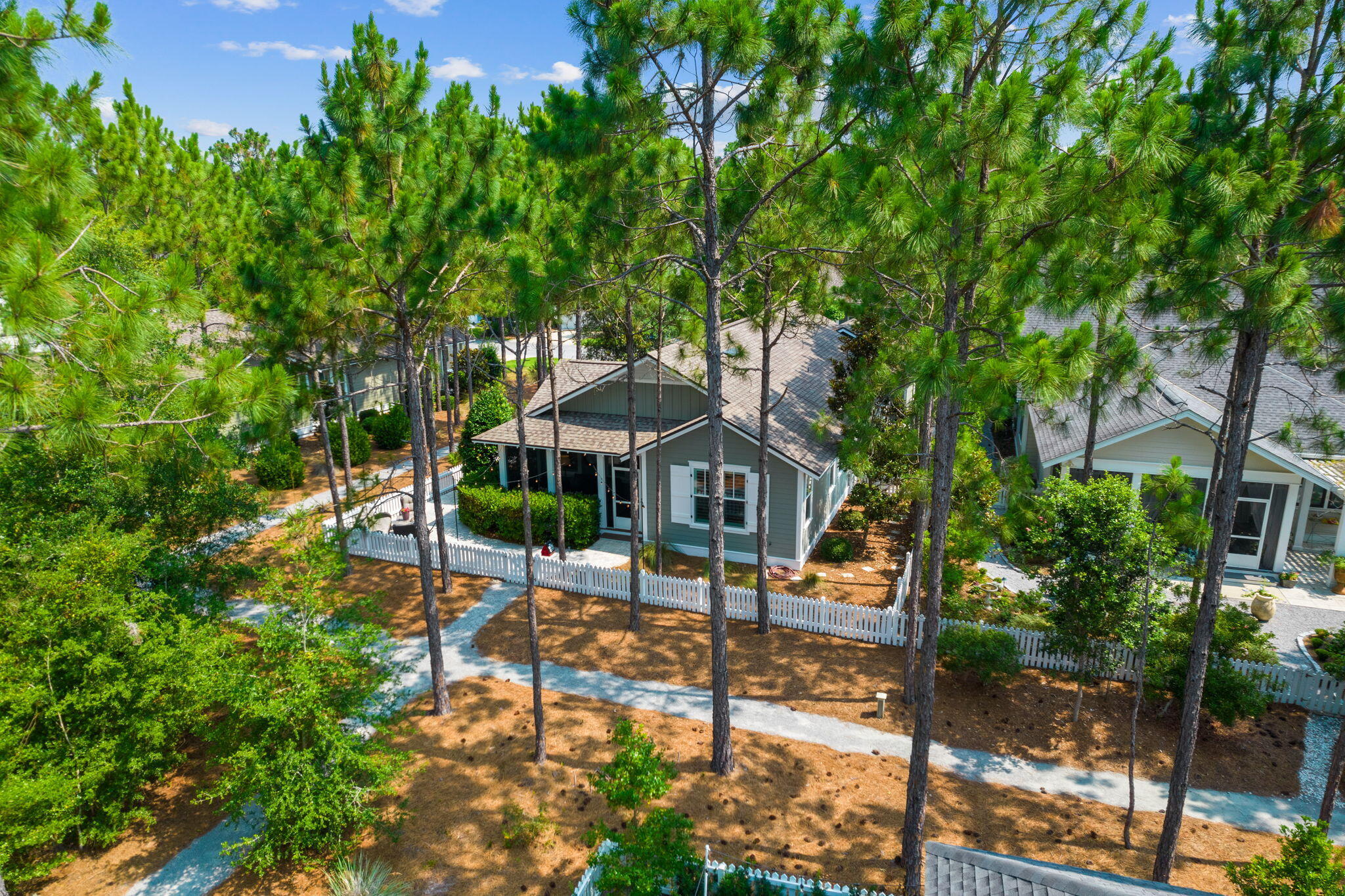 227 Jack Knife Drive Inlet Beach, FL 32461 - Photo 8 of 54 a front view of a house with a tree