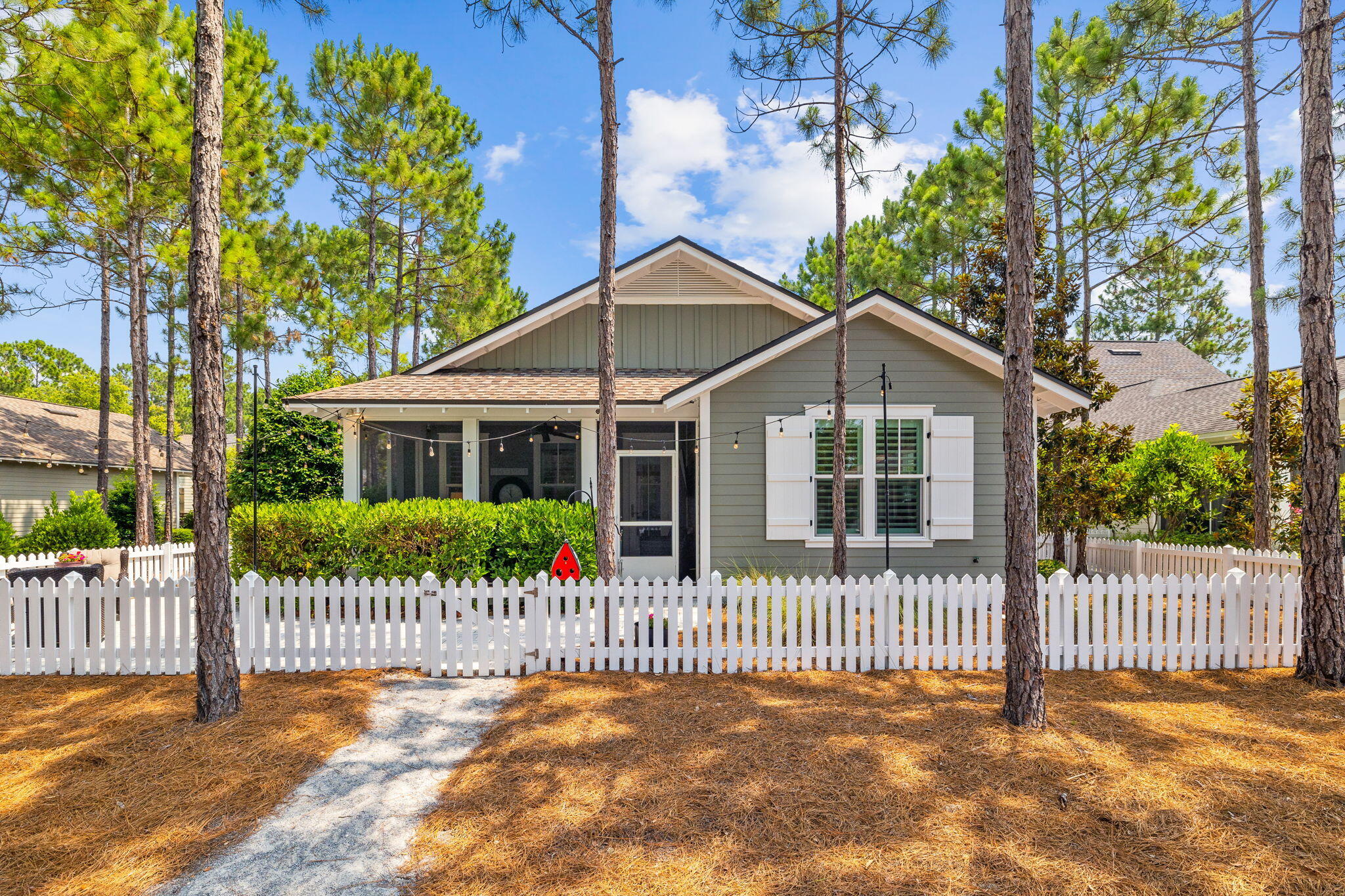 227 Jack Knife Drive Inlet Beach, FL 32461 - Photo 9 of 54 a front view of a house with a fence
