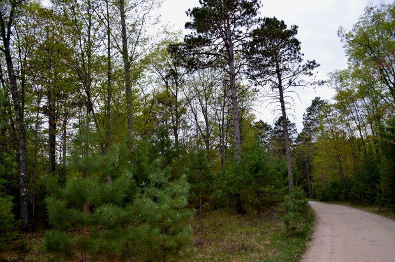 On Wakefield Lake Road, Unit LOT 2 St. Germain, WI 54558 - Photo 9 of 15 Gallery Image 9