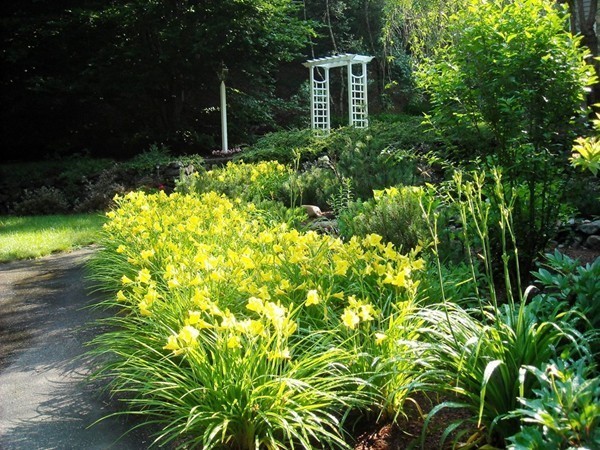 739 C Main Street Boxford, MA 01921 - Photo 29 of 30 Gallery Image 29