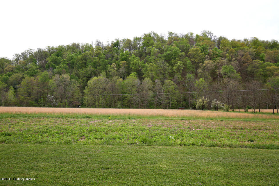 5888 Knob Creek Road Brooks, KY 40109 - Photo 5 of 58 Stunning Views